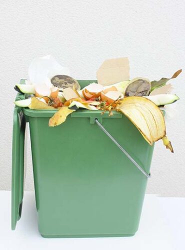 Local Self Reliance: Municipal Composting